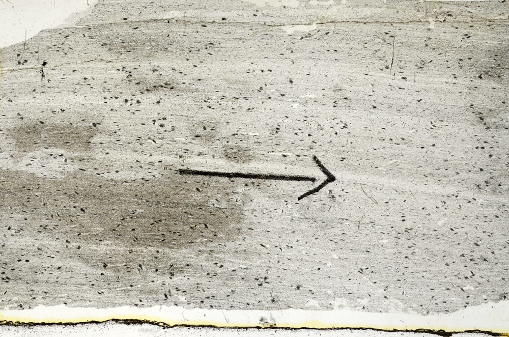 Plane Polarized, S89436