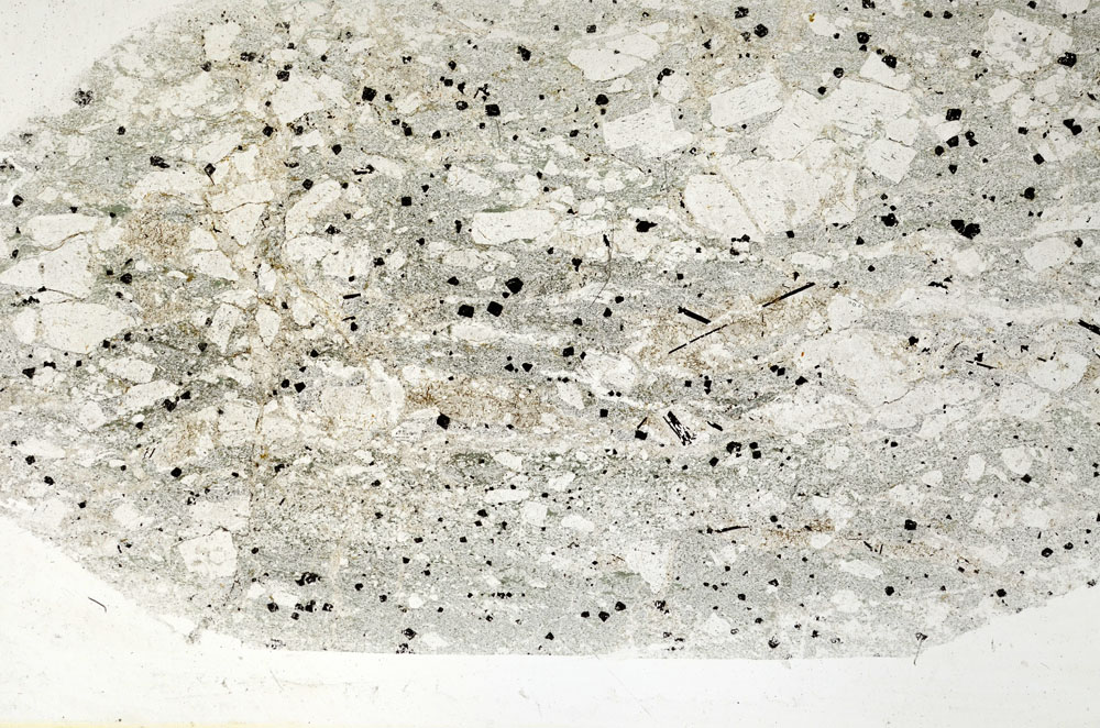 Plane Polarized, S89449