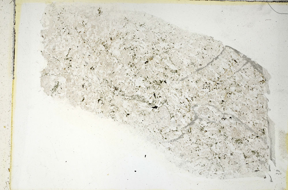Plane Polarized, S89468