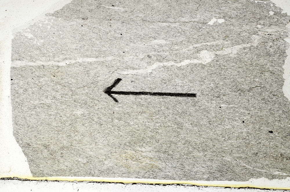Plane Polarized, S89469