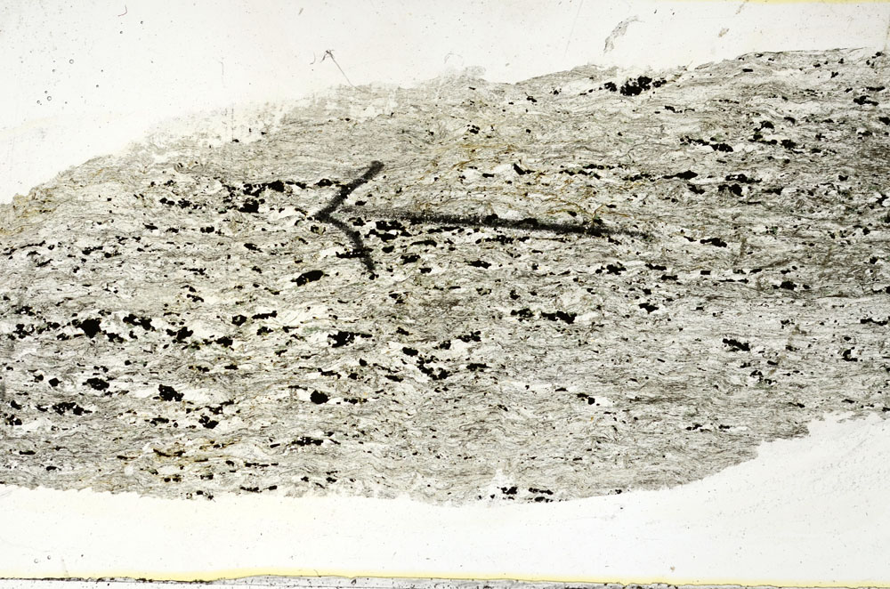 Plane Polarized, S89470