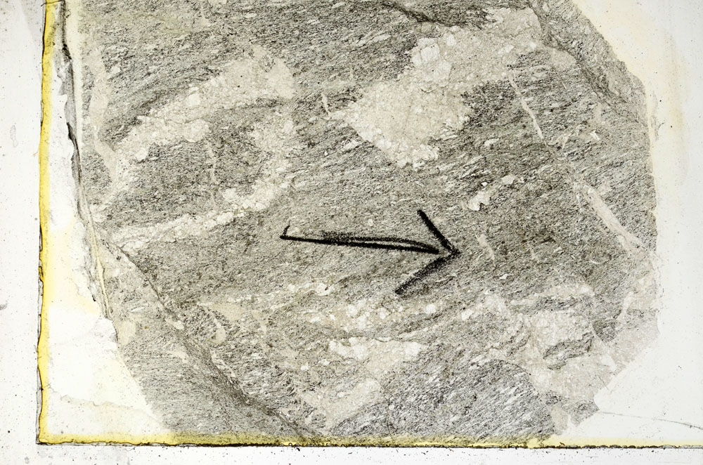 Plane Polarized, S89472