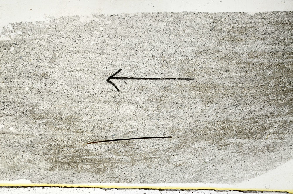 Plane Polarized, S89475