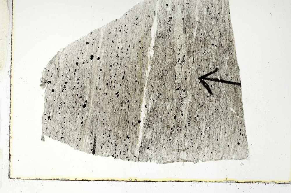 Plane Polarized, S89476