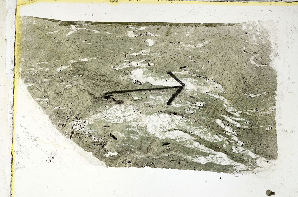 Plane Polarized, S89488