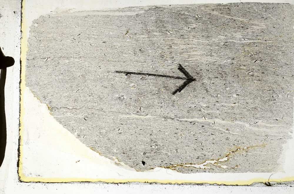 Plane Polarized, S89491