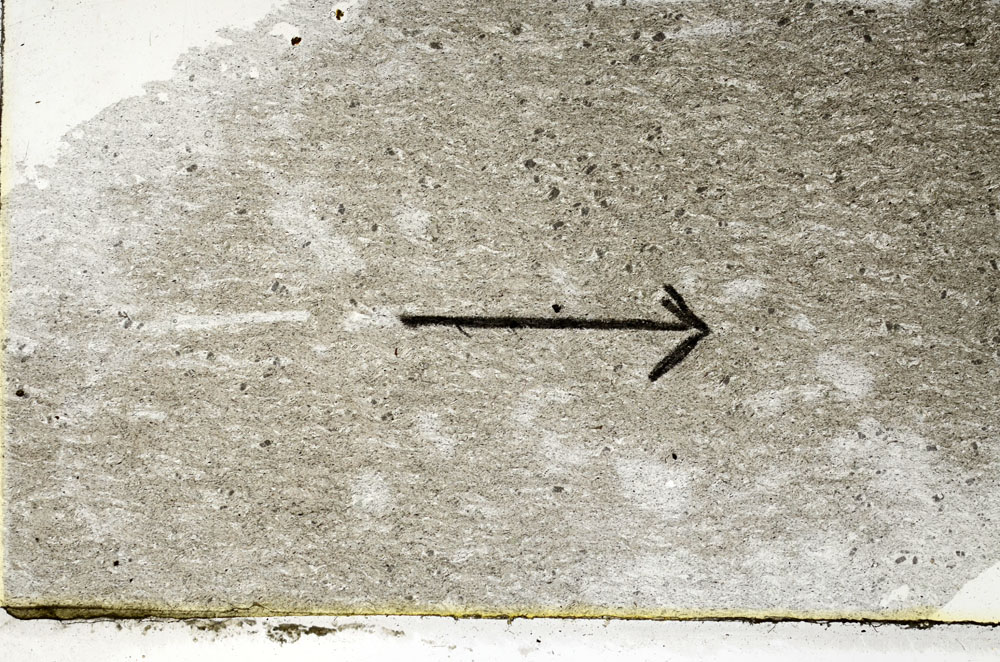Plane Polarized, S89495