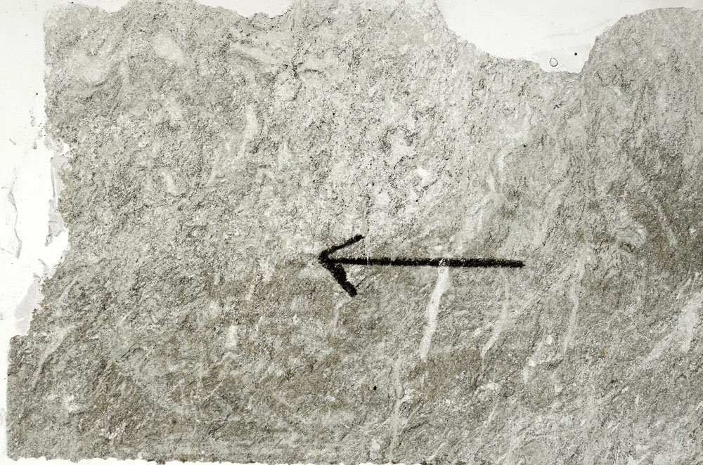 Plane Polarized, S89496