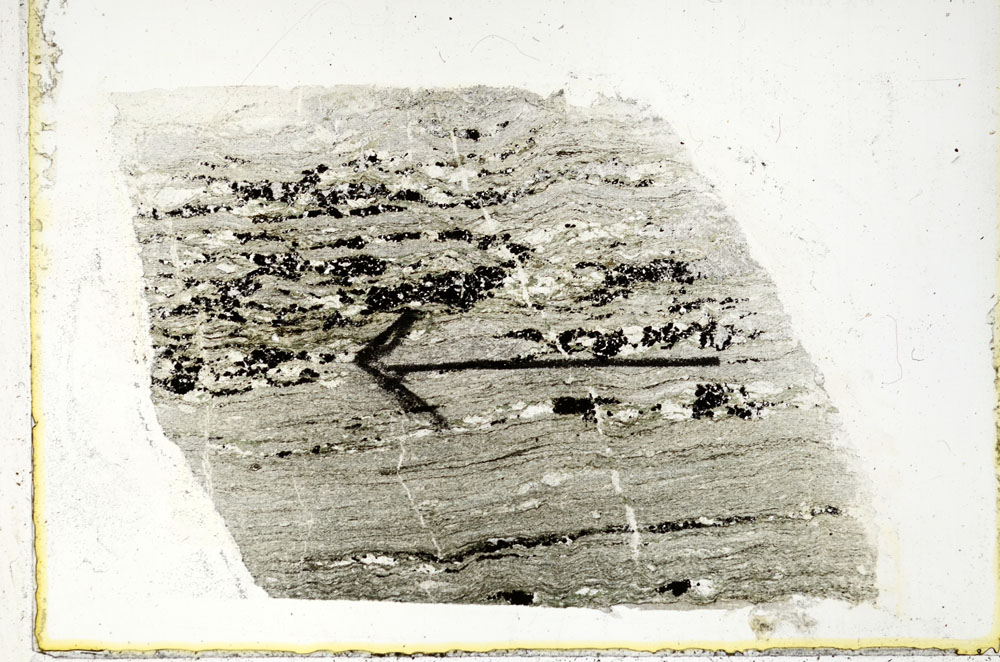 Plane Polarized, S89499