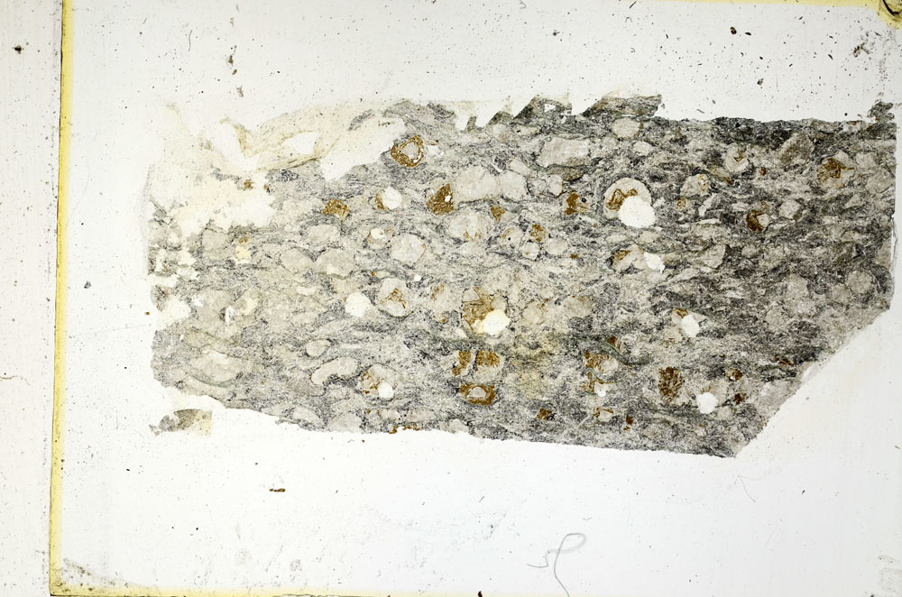 Plane Polarized, S89500
