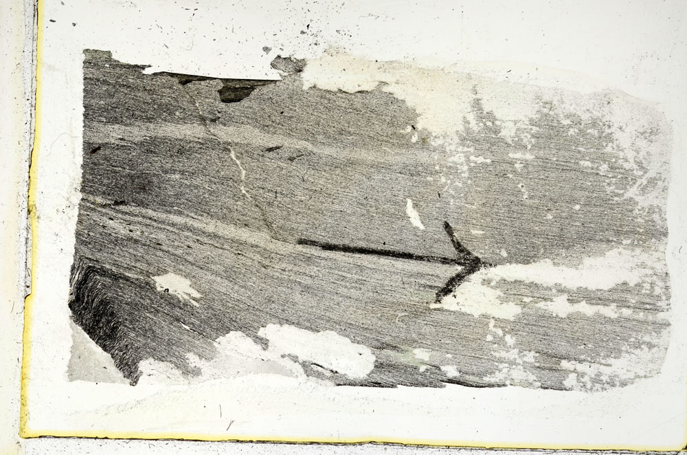 Plane Polarized, S89503