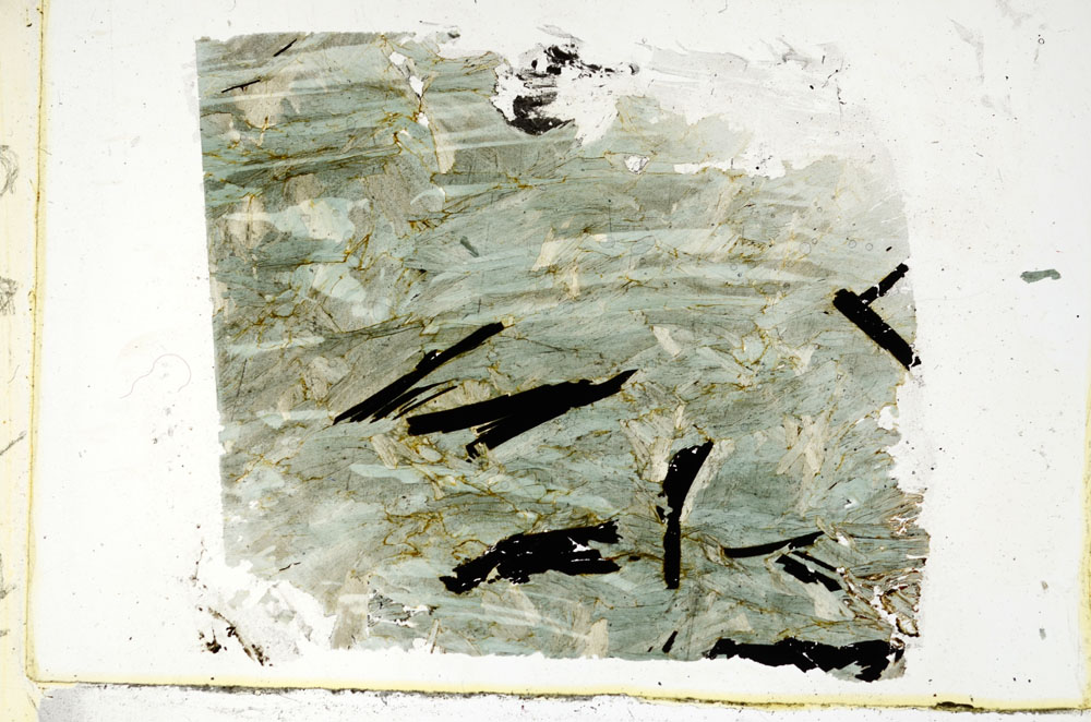 Plane Polarized, S89511