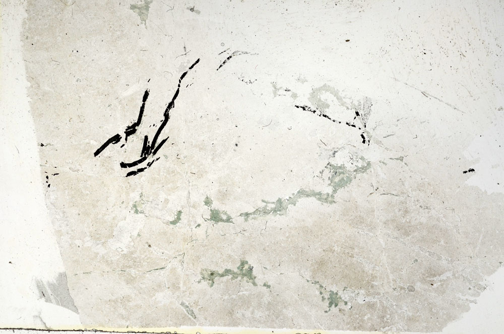 Plane Polarized, S89513