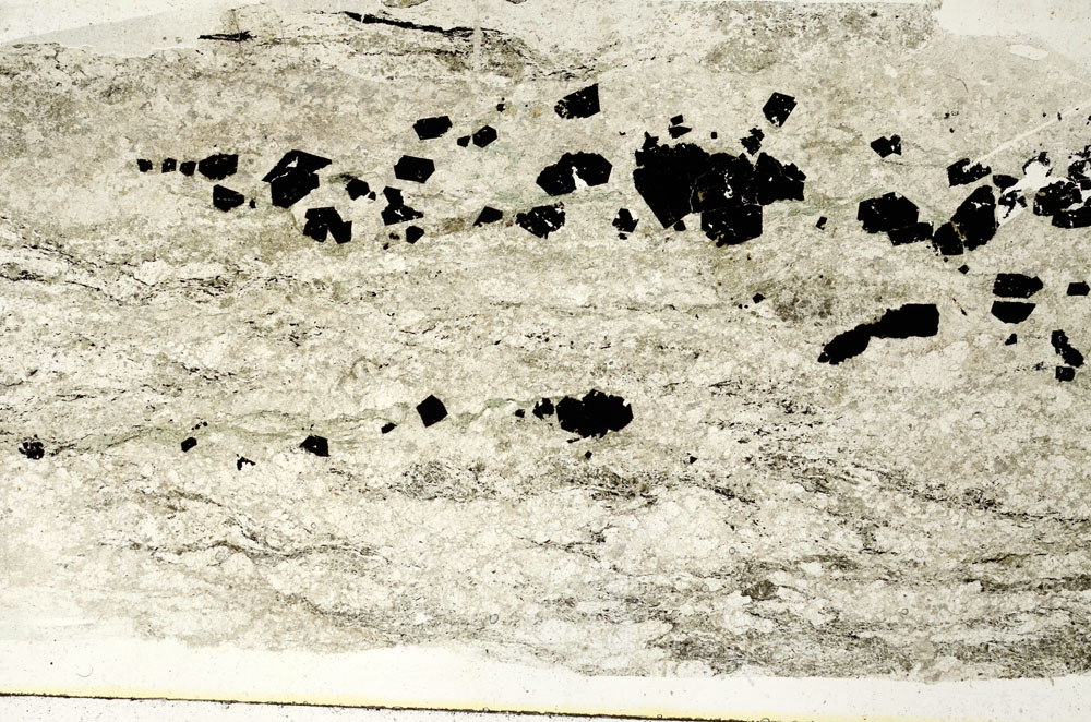 Plane Polarized, S89520