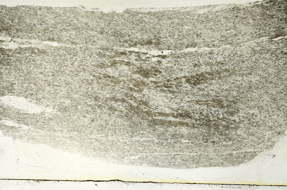 Plane Polarized, S89523