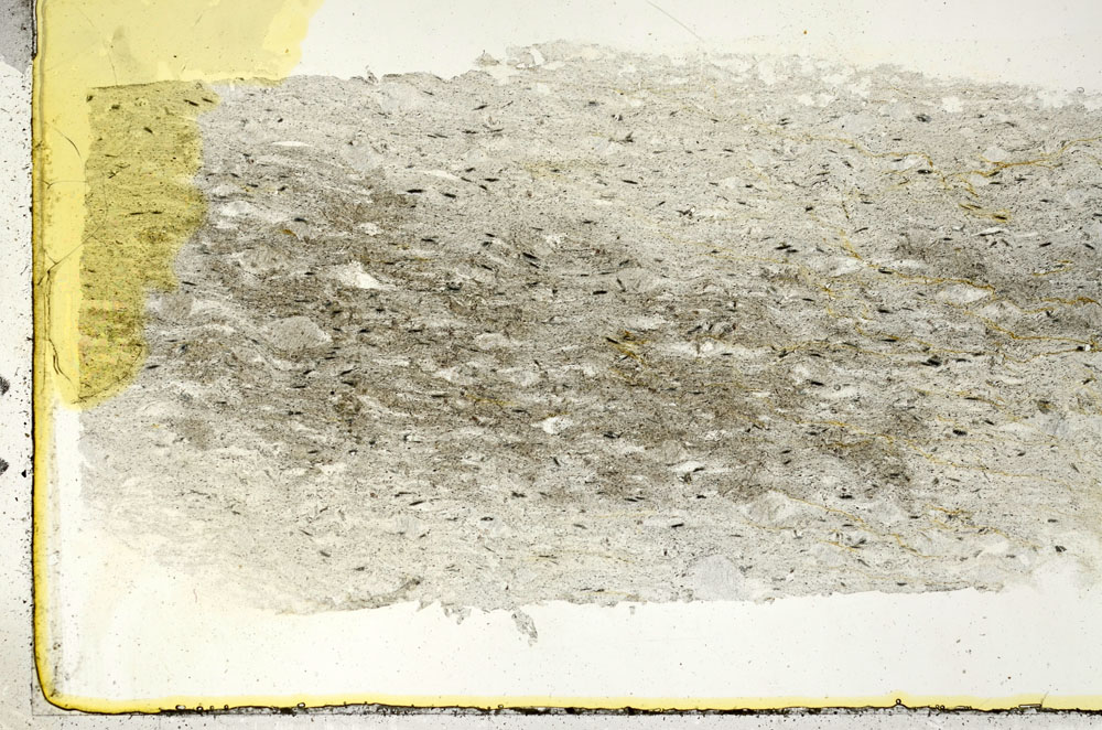 Plane Polarized, S89527