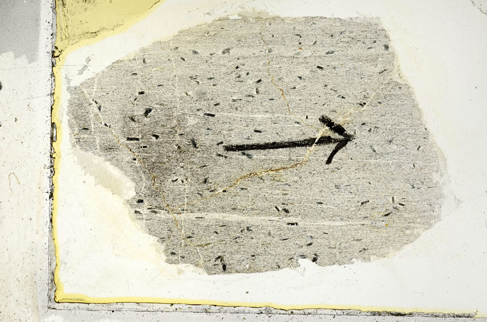 Plane Polarized, S89528