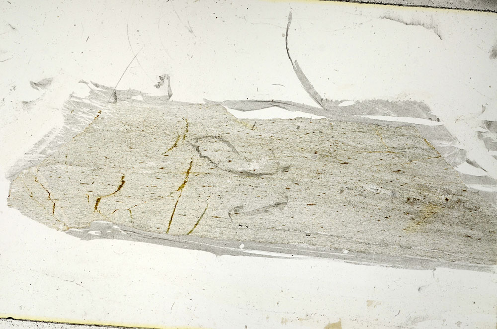 Plane Polarized, S89530