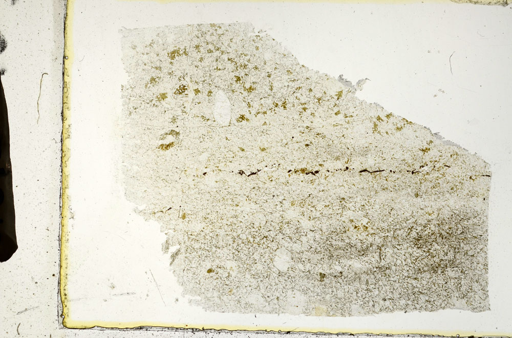 Plane Polarized, S89531