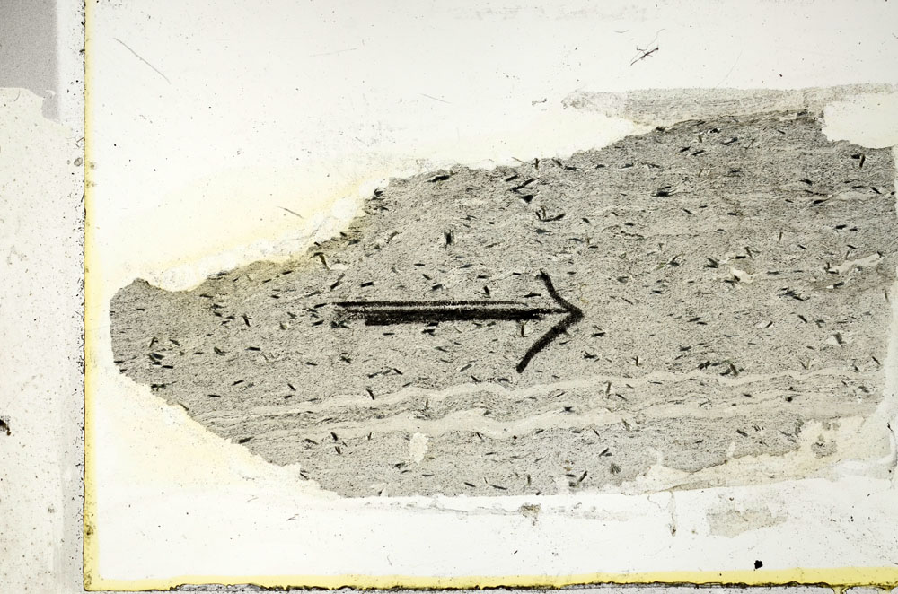 Plane Polarized, S89534