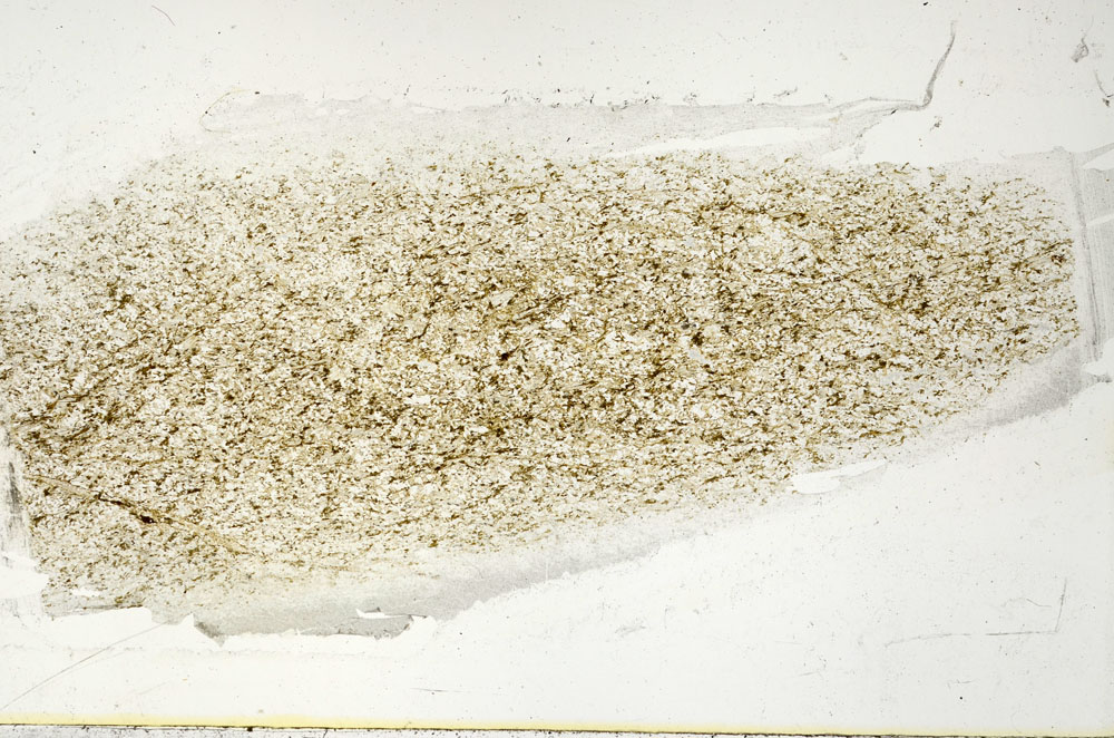 Plane Polarized, S89539