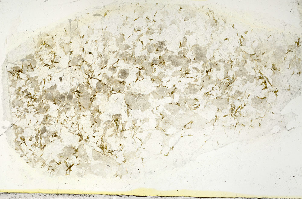 Plane Polarized, S89541