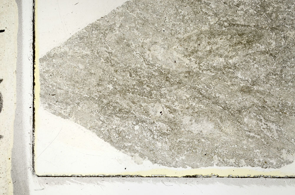 Plane Polarized, S89543