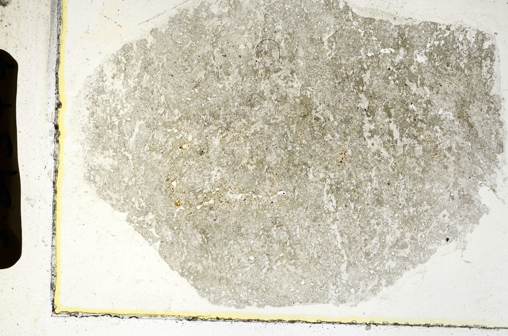 Plane Polarized, S89544