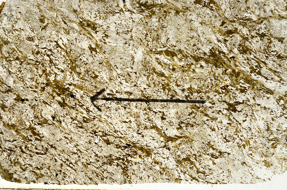 Plane Polarized, S89550
