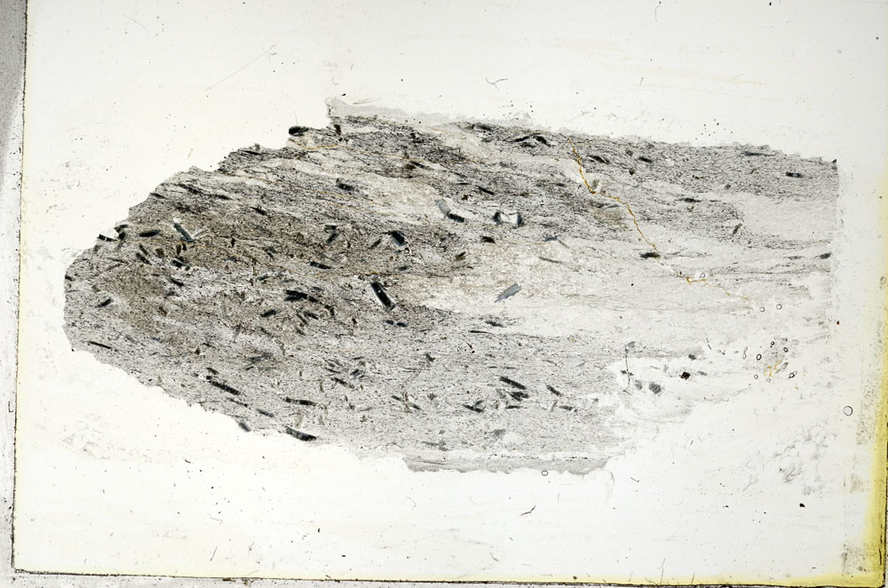 Plane Polarized, S89553