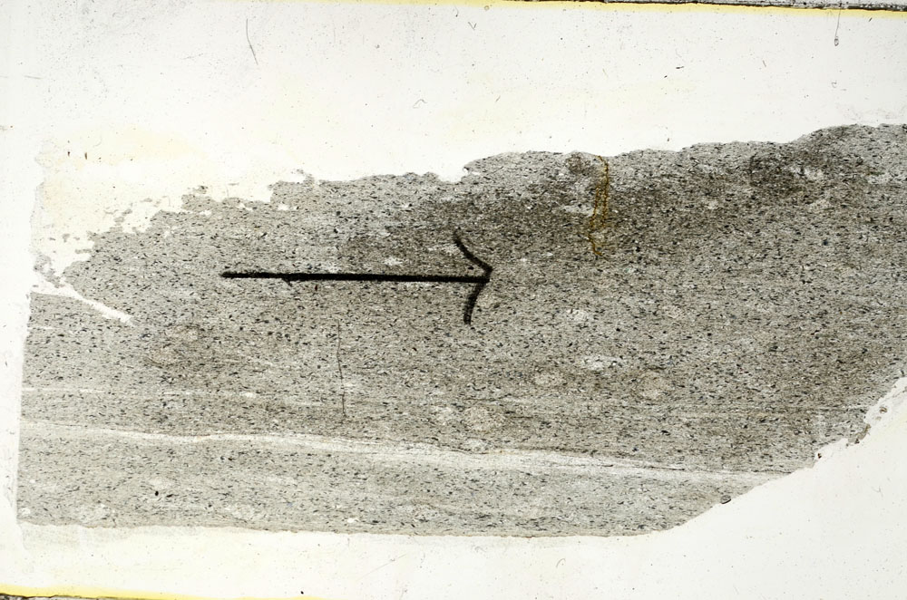 Plane Polarized, S89554