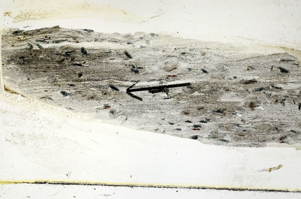 Plane Polarized, S89556
