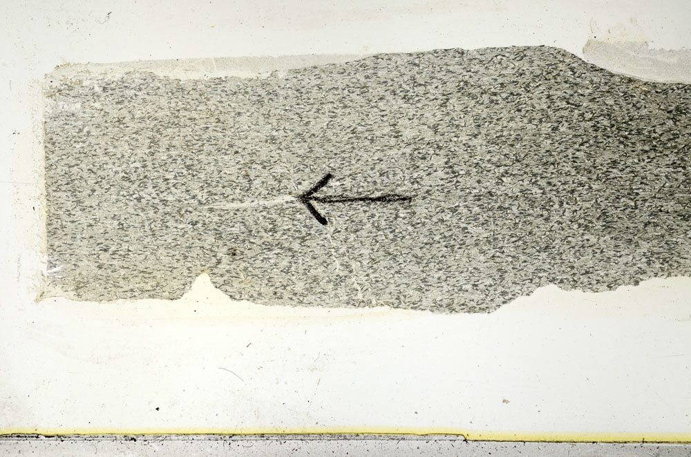 Plane Polarized, S89557