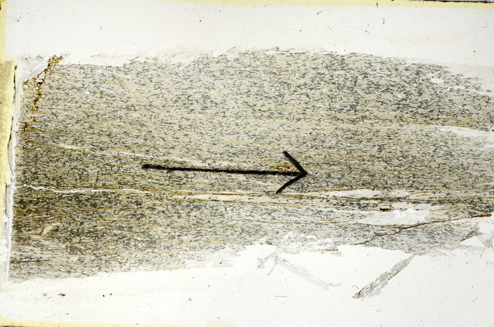 Plane Polarized, S89562