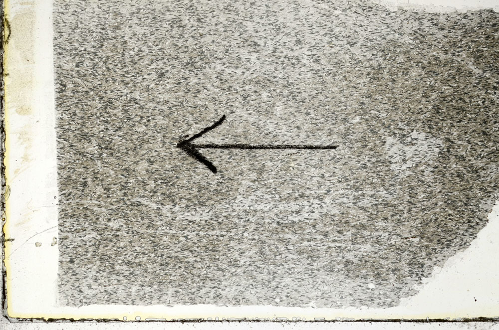 Plane Polarized, S89563