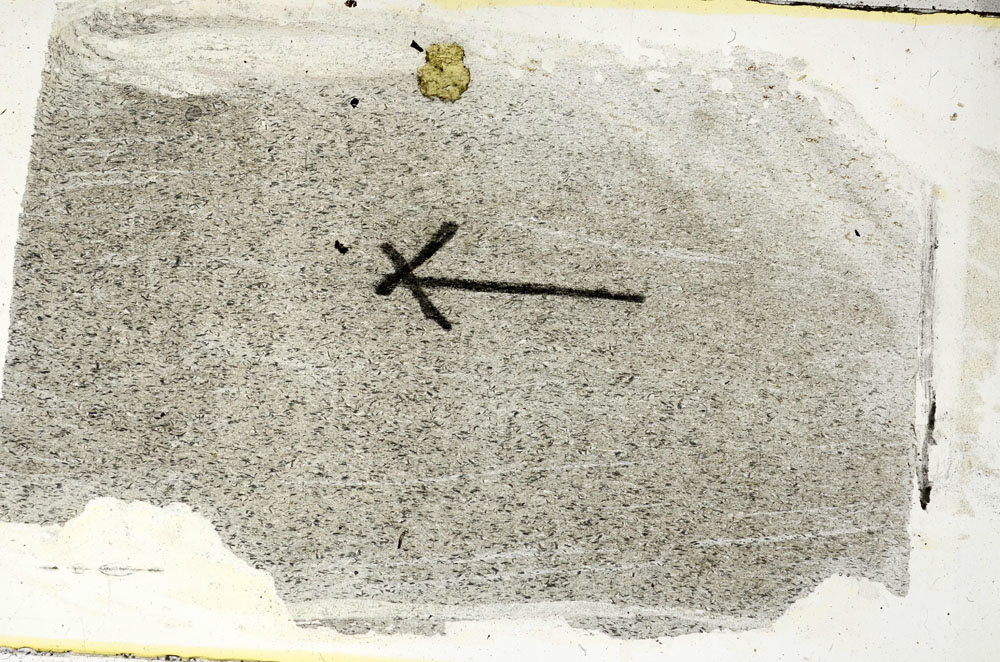 Plane Polarized, S89564