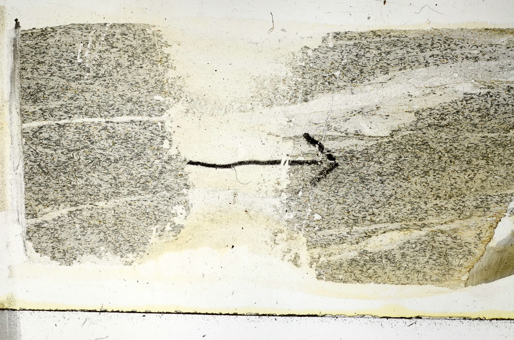 Plane Polarized, S89569