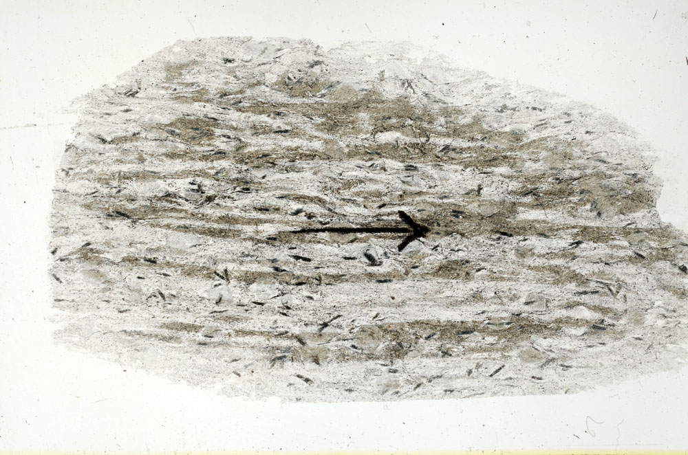 Plane Polarized, S89570