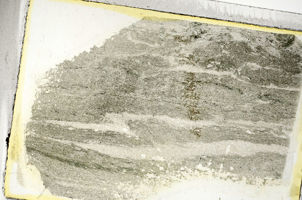 Plane Polarized, S89571