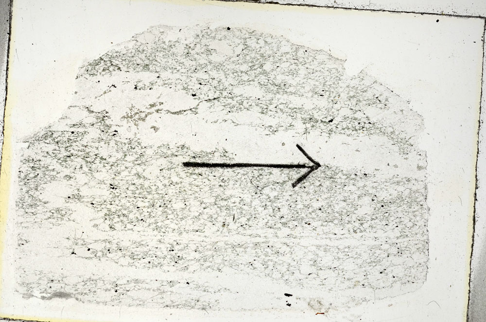 Plane Polarized, S89572