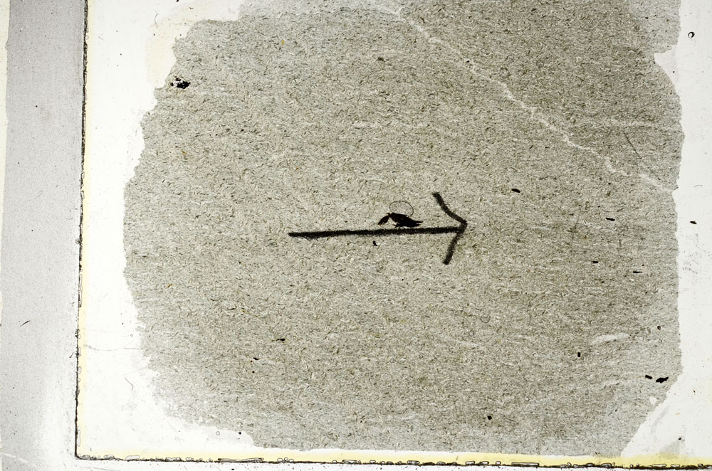 Plane Polarized, S89574