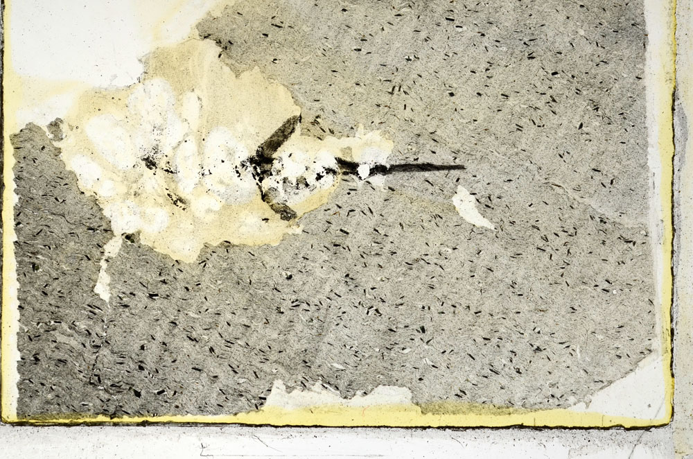 Plane Polarized, S89578