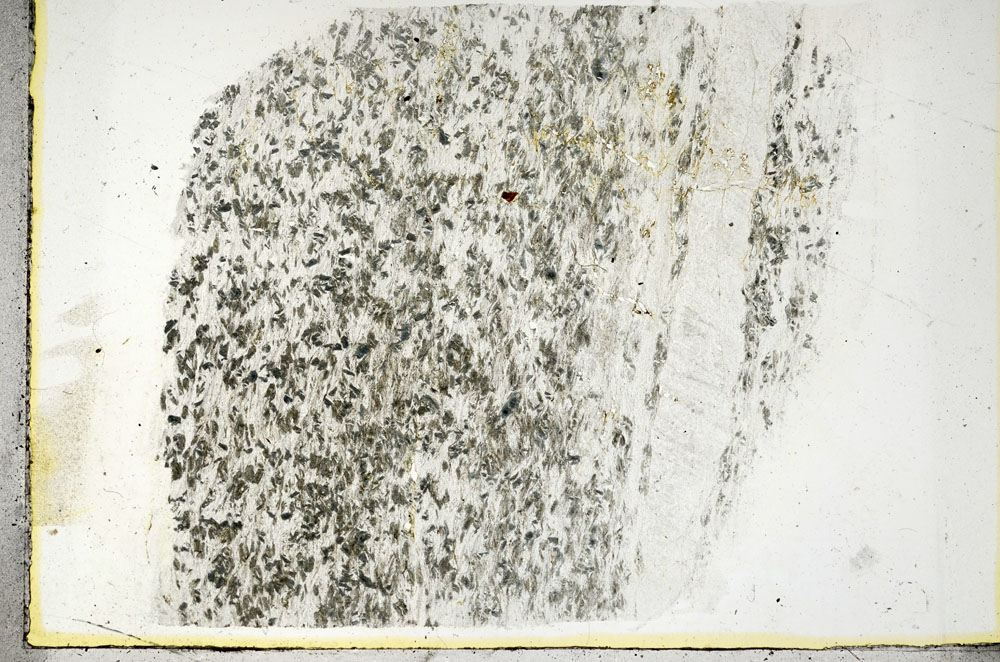 Plane Polarized, S89581