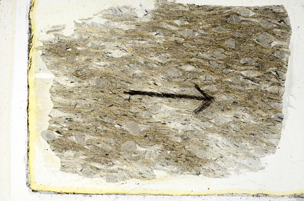 Plane Polarized, S89582