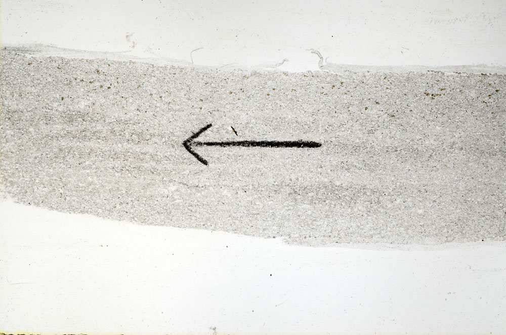 Plane Polarized, S89588