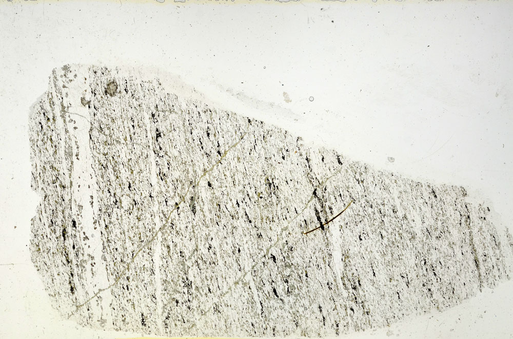 Plane Polarized, S89595