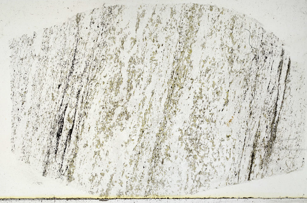 Plane Polarized, S89604