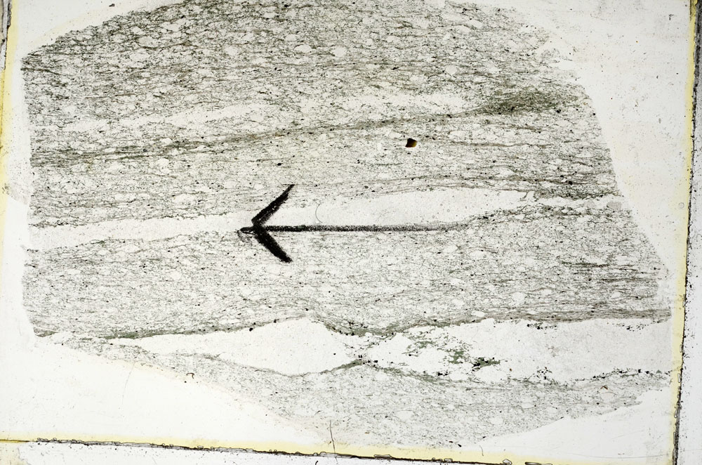 Plane Polarized, S89610