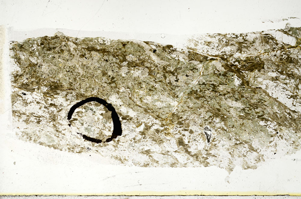 Plane Polarized, S89611