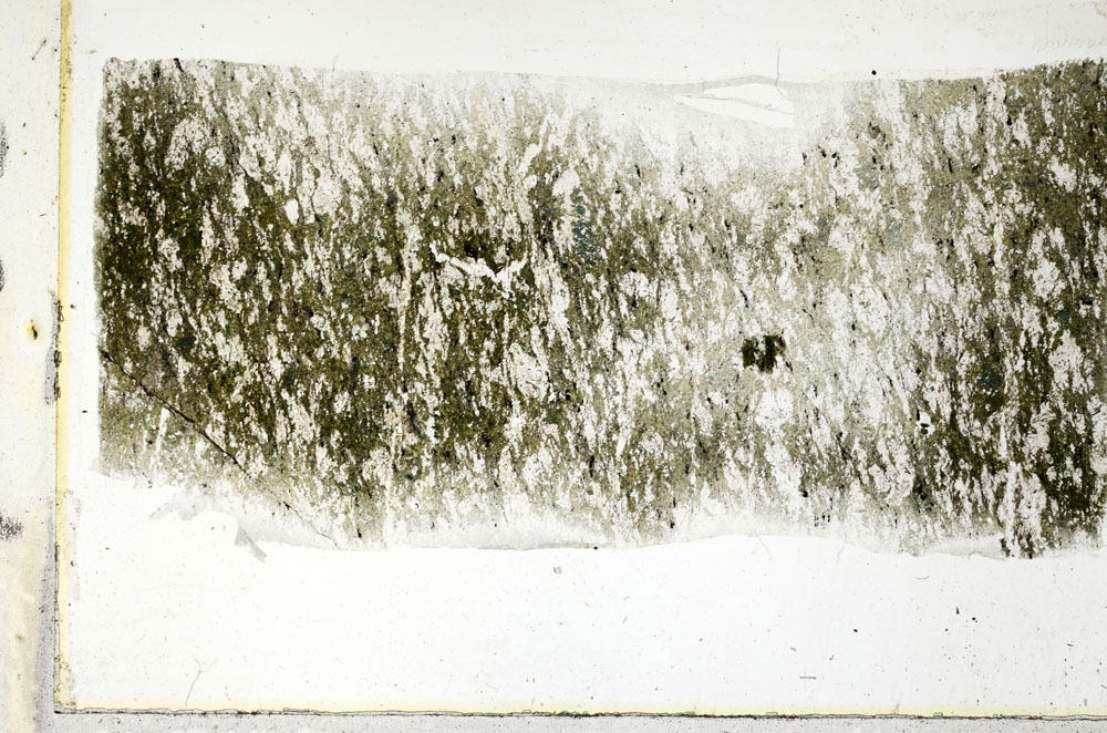 Plane Polarized, S89614